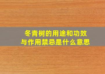 冬青树的用途和功效与作用禁忌是什么意思