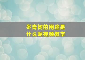 冬青树的用途是什么呢视频教学