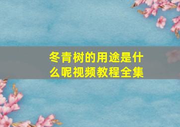 冬青树的用途是什么呢视频教程全集