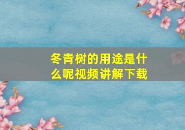 冬青树的用途是什么呢视频讲解下载