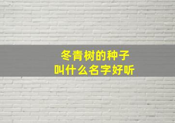 冬青树的种子叫什么名字好听