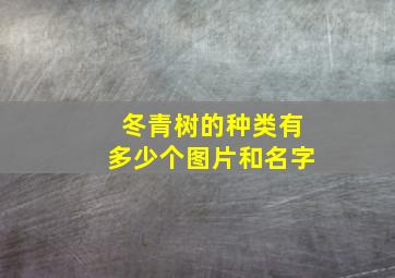 冬青树的种类有多少个图片和名字