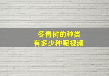 冬青树的种类有多少种呢视频