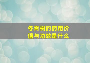 冬青树的药用价值与功效是什么