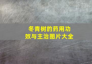 冬青树的药用功效与主治图片大全