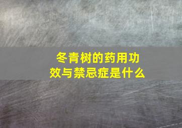 冬青树的药用功效与禁忌症是什么