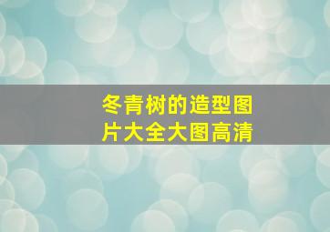 冬青树的造型图片大全大图高清