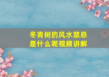 冬青树的风水禁忌是什么呢视频讲解