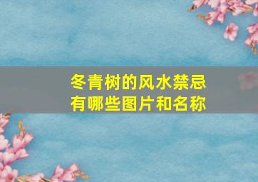 冬青树的风水禁忌有哪些图片和名称