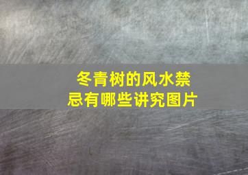 冬青树的风水禁忌有哪些讲究图片