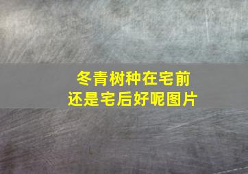 冬青树种在宅前还是宅后好呢图片