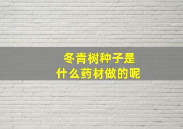 冬青树种子是什么药材做的呢