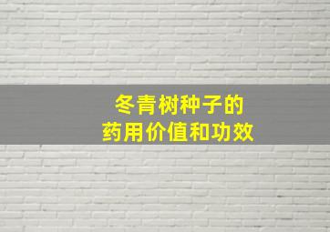 冬青树种子的药用价值和功效