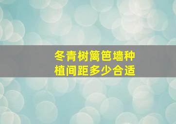 冬青树篱笆墙种植间距多少合适