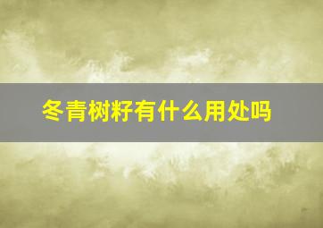 冬青树籽有什么用处吗