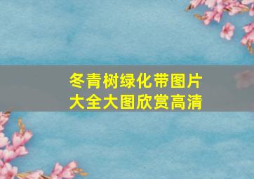 冬青树绿化带图片大全大图欣赏高清