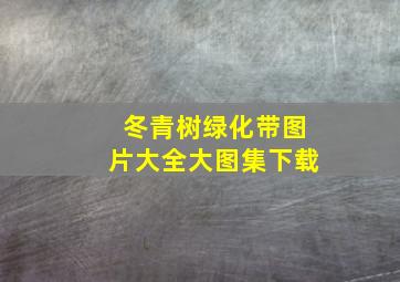 冬青树绿化带图片大全大图集下载