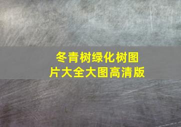 冬青树绿化树图片大全大图高清版