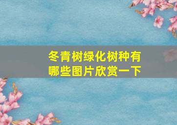 冬青树绿化树种有哪些图片欣赏一下