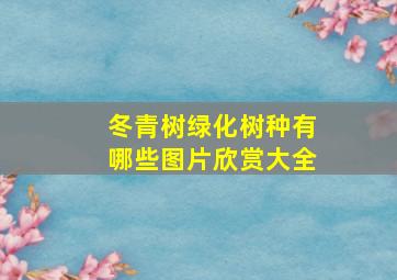 冬青树绿化树种有哪些图片欣赏大全