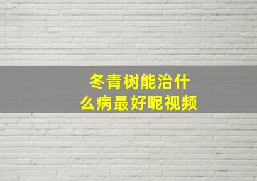 冬青树能治什么病最好呢视频