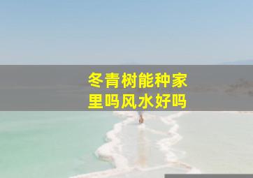 冬青树能种家里吗风水好吗