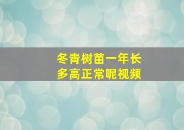 冬青树苗一年长多高正常呢视频