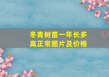 冬青树苗一年长多高正常图片及价格