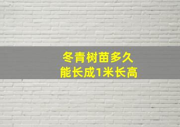 冬青树苗多久能长成1米长高