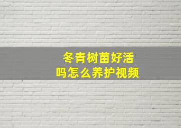 冬青树苗好活吗怎么养护视频