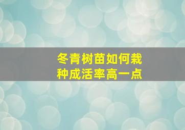 冬青树苗如何栽种成活率高一点