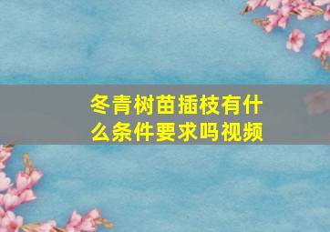 冬青树苗插枝有什么条件要求吗视频