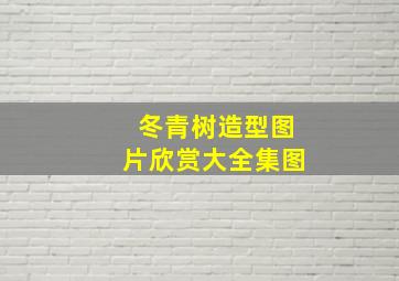 冬青树造型图片欣赏大全集图