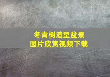 冬青树造型盆景图片欣赏视频下载