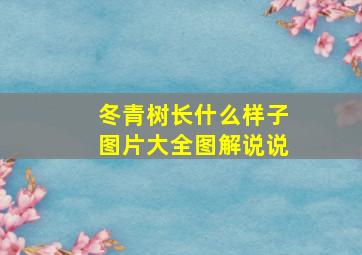 冬青树长什么样子图片大全图解说说