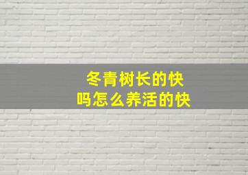 冬青树长的快吗怎么养活的快