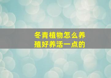 冬青植物怎么养殖好养活一点的