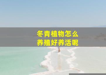 冬青植物怎么养殖好养活呢