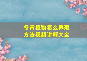 冬青植物怎么养殖方法视频讲解大全