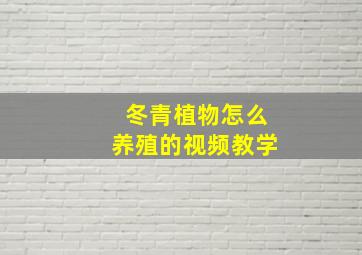 冬青植物怎么养殖的视频教学