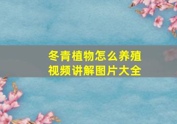 冬青植物怎么养殖视频讲解图片大全