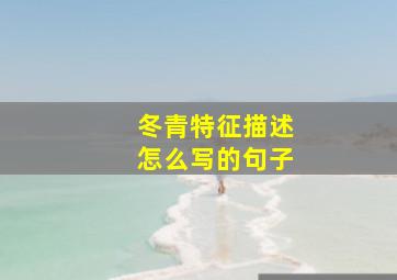 冬青特征描述怎么写的句子