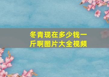 冬青现在多少钱一斤啊图片大全视频