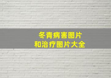 冬青病害图片和治疗图片大全