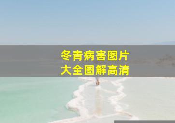 冬青病害图片大全图解高清