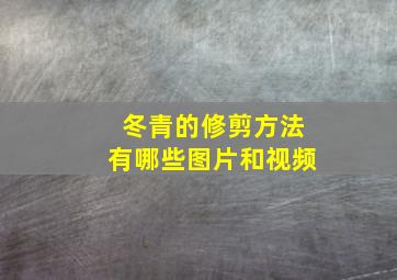 冬青的修剪方法有哪些图片和视频