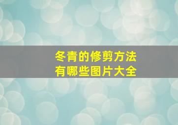 冬青的修剪方法有哪些图片大全