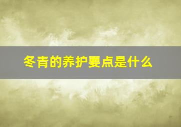 冬青的养护要点是什么