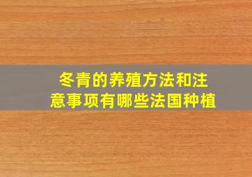 冬青的养殖方法和注意事项有哪些法国种植