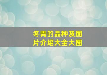 冬青的品种及图片介绍大全大图